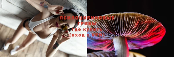 дистиллят марихуана Каменногорск
